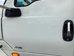 General Appearance with Paint
