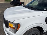 General Appearance with Paint