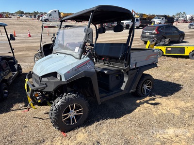2024 RayTec UTV250-2 4x4 Utility Vehicle