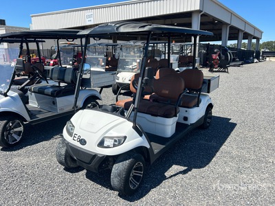2022 ICON C40FS Electric Golf Cart