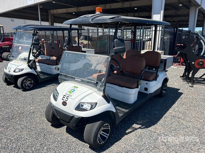 2022 ICON C40FS Electric Golf Cart