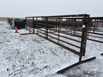 24 ft Panel para ganado (Unused)