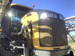 General Appearance with Paint
