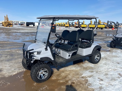 2024 ZLD-F2020TJY Golf Cart