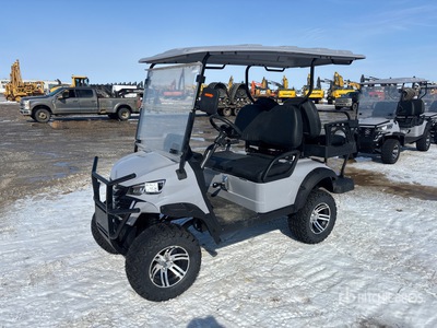 2024 ZLD-F2020TJY Golf Cart
