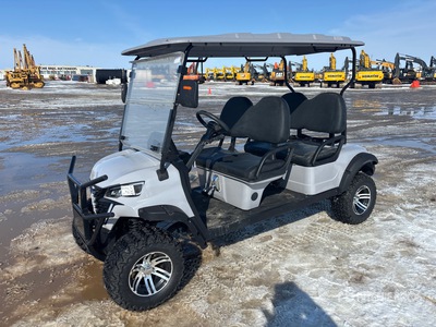 2024 ZLD-F2020TJY Golf Cart