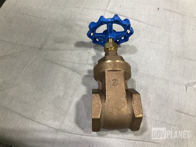(33) IPEX TY 1 Class 125 Size 2 Gate Valves