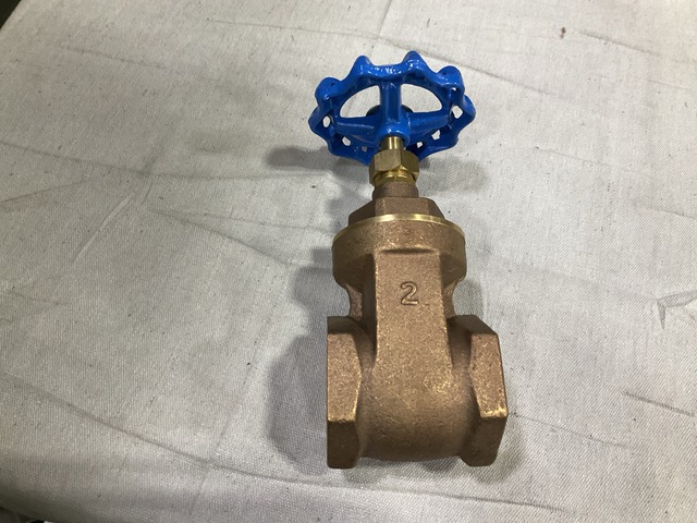 (33) IPEX TY 1 Class 125 Size 2 Gate Valves