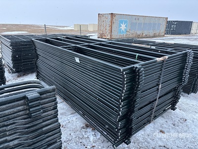 Quantity of (31) 9 ft 6 in Panel para ganado (Unused)