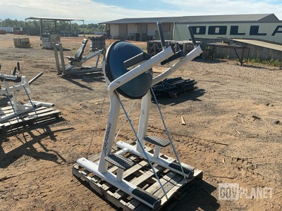 Life Fitness Leg Raise Machine