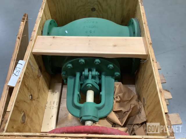 Newmans 2110D700 Globe Valve