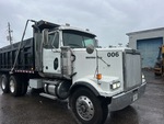 General Appearance with Paint