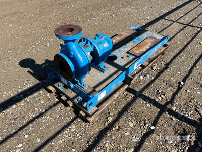 Goulds 3196 Waterpomp