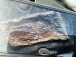 Motore with Emission Label