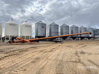 2018 Batco 2095 20 in x 95 ft Swing Grain Conveyor