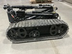 General Appearance #4