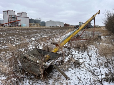 8 in x 55 ft Vis sans fin à grain