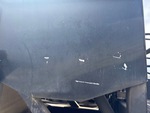 General Appearance with Paint