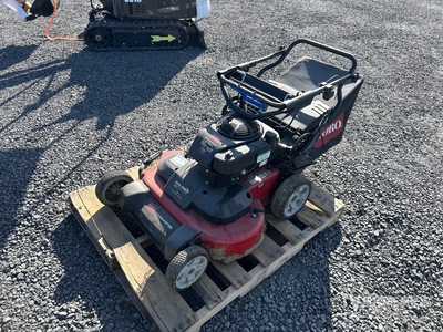 2019 Toro 21199 Walk-Behind Rasa erba