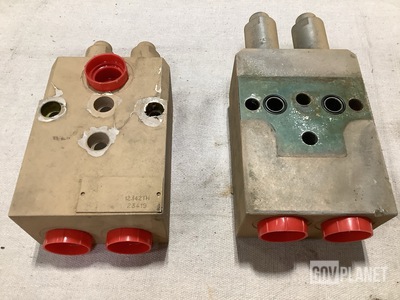 (2) 12342TH Safety Relief Valves