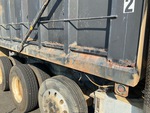 General Appearance with Paint