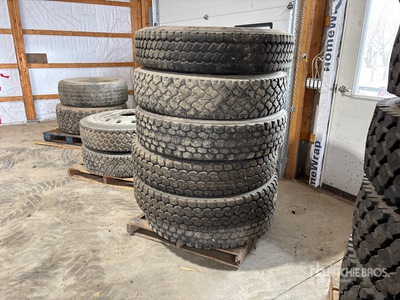 Quantity of (6) 11R24.5 Pneus