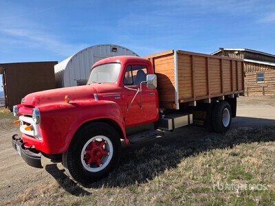 1955 International Classic Truck