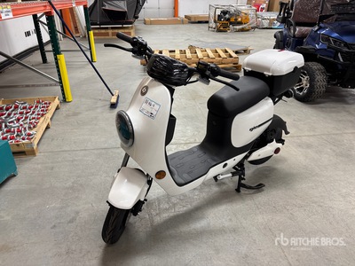 GIO Italia Ultras Electric Scooter