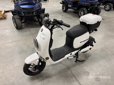 GIO Italia Ultras Electric Scooter (Unused)
