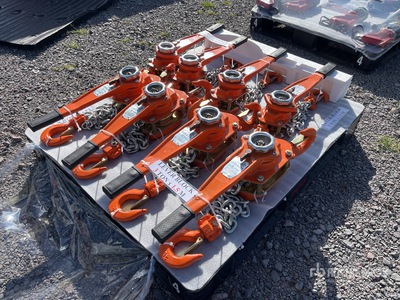 Quantity of (8) 2026 Lote de Polipastos (Sin Usar) / Lever Block Hook Block (Unused)