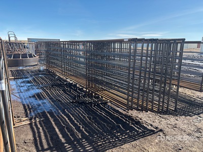 Quantity of (10) 24 ft Steel Panneau pour bétail