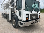General Appearance with Paint