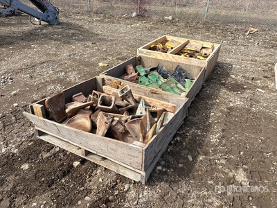 Quantity of (60) Excavator Teeth