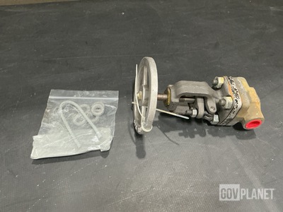 803-2177525-C3A1AF Globe Valve