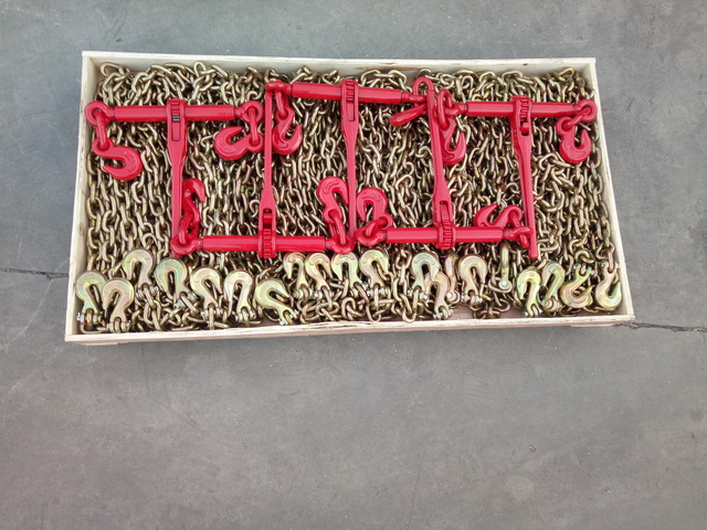 Quantity of (5) 2026 Suihe BC-5400 5400 lb Ratchet Binders & (10) 20 ft Chains, Product images displayed are stock photos. Item is new/unused. (Unused)