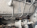 Engine with Exhaust System