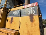 General Appearance with Paint
