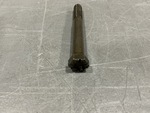 General Appearance #2