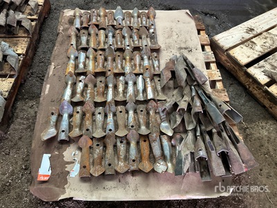 Quantity of (14) Seed Openers & (60) Spoon