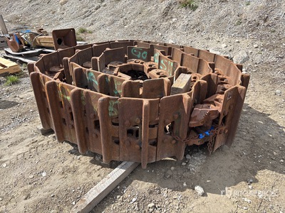 Cat D10 24 In Cadenas