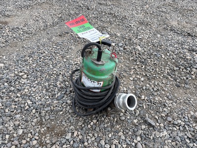 Electric 2 in Submersible Water Pump