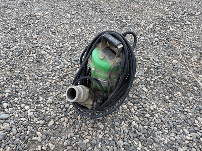 Patron Electric 2 in Bomba Sumergible