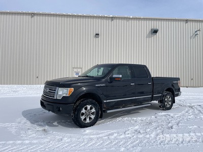 2010 Ford F-150 Platinum 4x4 Crew Cab Ophalen