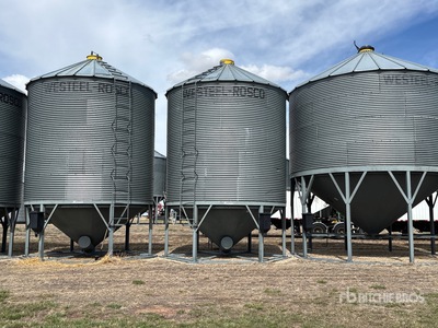 Westeel-Rosco 1405 +/- 1850 bu Hopper Cassone per grano