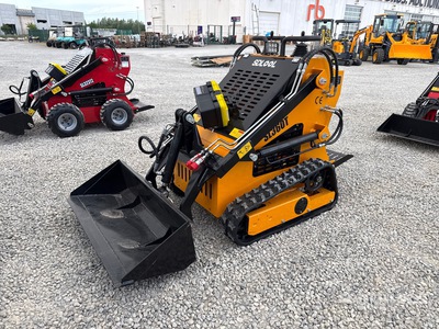 2026 SDLOOL SL360TD Oruga cargadora compacta (Unused)