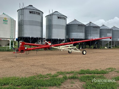 Buhler Farm King 1060 10 in x 60 ft Swing Barrena de grano
