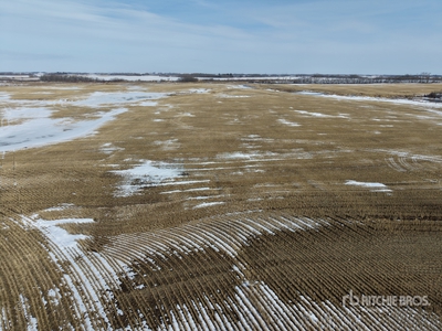 Holden, AB SW 9-50-16-W4 160 +/- Acres on Title Farmland