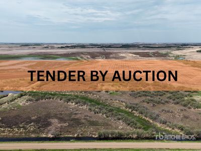 Holden, AB NE 4-50-16-W4 160 +/- Acres on Title 農場