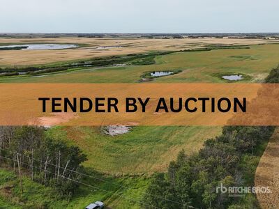 Holden, AB NE 4-50-16-W4 160 +/- Acres on Title Farmland