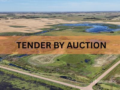 Holden, AB SE 4-50-16-W4 159 +/- Acres on Title Farmland